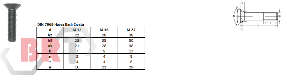 DIN 7969 Havşa Başlı Cıvata