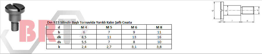 Dın 923 Silindir Başlı Tornavida Yarıklı Kalın Şaflı Cıvata