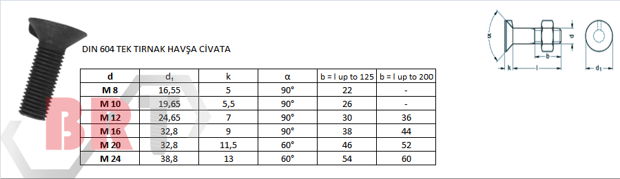 DIN 604 TEK TIRNAK HAVŞA CİVATA