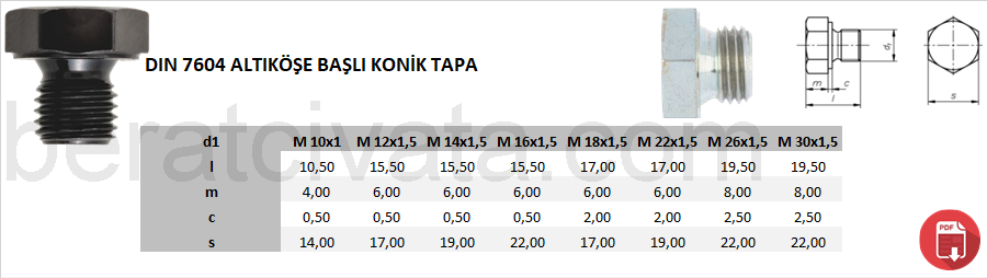 DIN 7604 ALTIKÖŞE BAŞLI KONİK TAPA