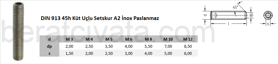 DIN 913 45h Küt Uçlu Setskur A2 İnox Paslanmaz