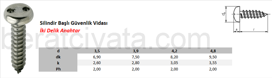 Silindir Başlı Güvenlik Vidası İki Delik Anahtar