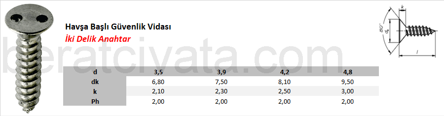 Havşa Başlı Güvenlik Vidası İki Delik Anahtar