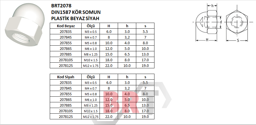 BRT2078 DIN1587 KÖR SOMUN PLASTİK BEYAZ SİYAH